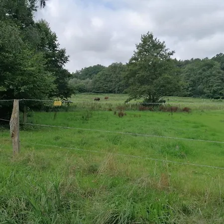 Silent Hill House Ferienhaus Bleckede