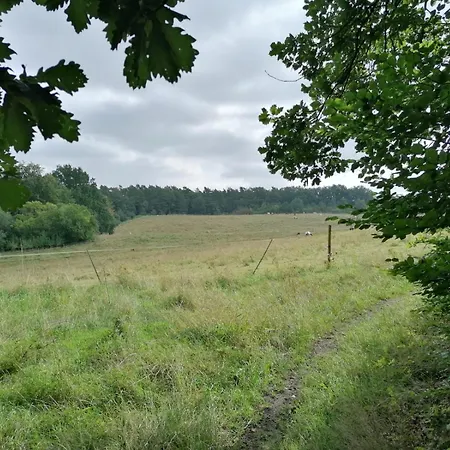 Silent Hill House * Bleckede