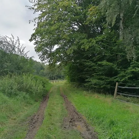 Ferienhaus Silent Hill House Bleckede