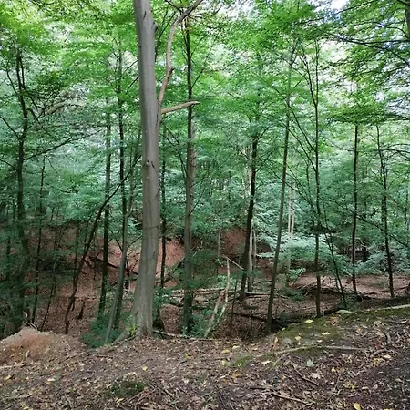 Gaestehaus Breetzer Berge