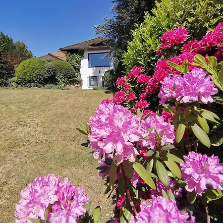 Silent Hill House Ferienhaus *